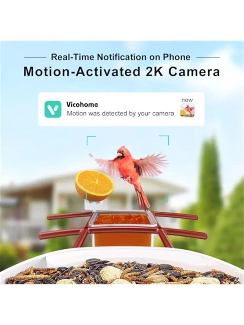 New TUC Bird Feeder with Camera 2K HD Live with 32GB Card Auto Detect